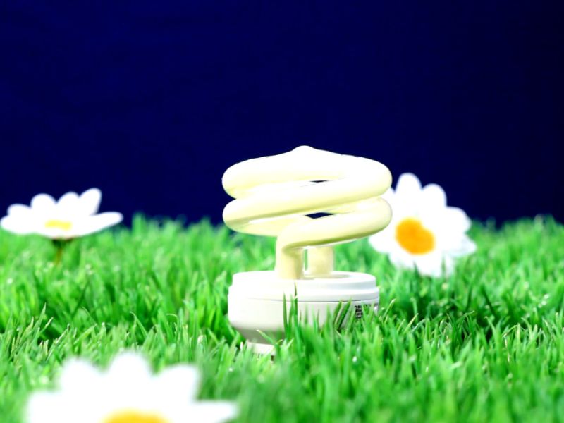 led sijalice na travi